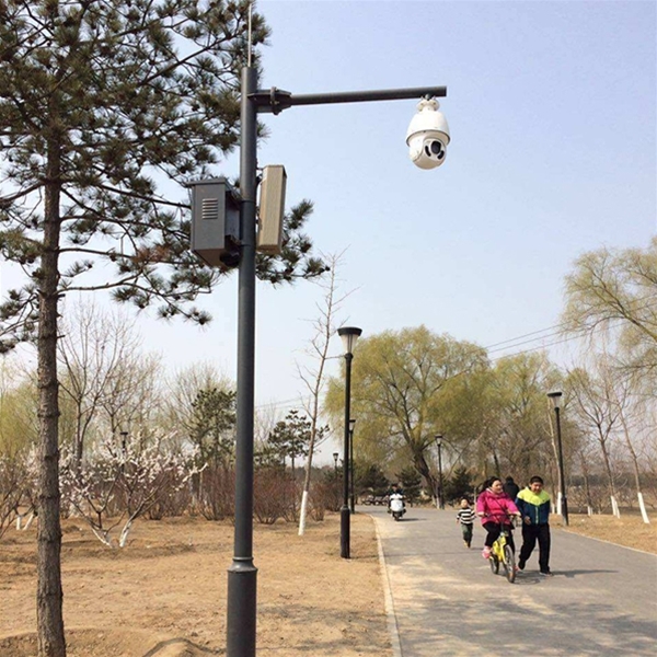 庆阳路灯监控杆-LB-03