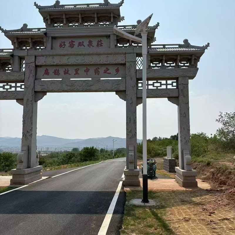 庆阳8米太阳能路灯生产厂家