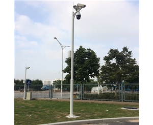 庆阳道路监控杆-LB-05
