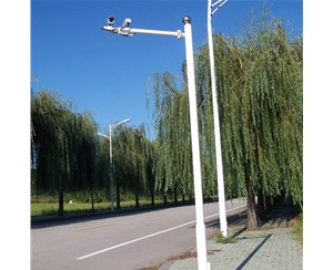 庆阳监控杆-LB-01